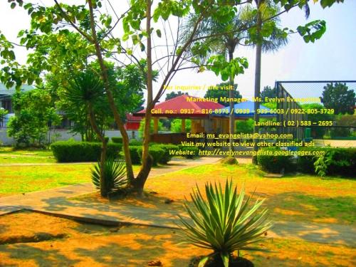 FOR SALE: Lot / Land / Farm Cavite 1