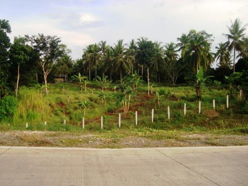 FOR SALE: Lot / Land / Farm Misamis Oriental