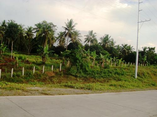 FOR SALE: Lot / Land / Farm Misamis Oriental 1