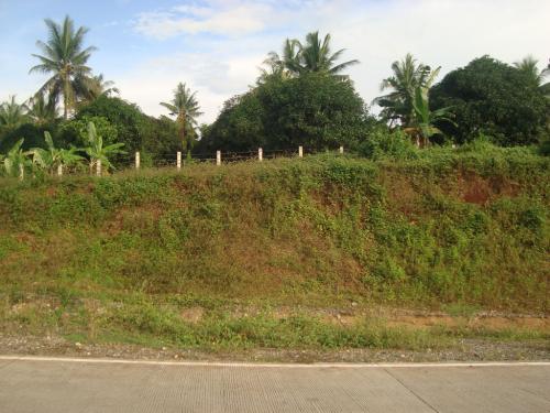 FOR SALE: Lot / Land / Farm Misamis Oriental 2