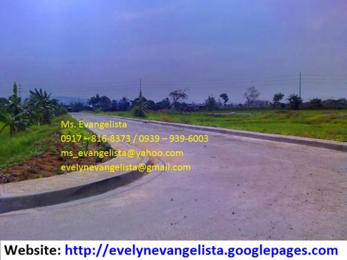 FOR SALE: Lot / Land / Farm Rizal 6