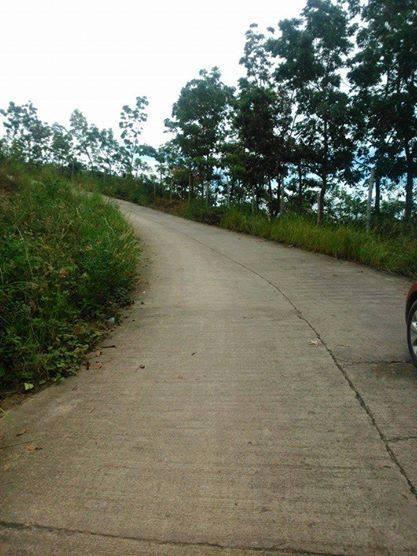 FOR SALE: Lot / Land / Farm Cebu 2