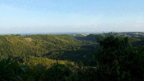 FOR SALE: Lot / Land / Farm Cebu 3
