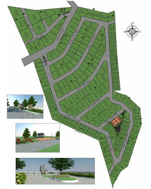 FOR SALE: Lot / Land / Farm Cebu 4