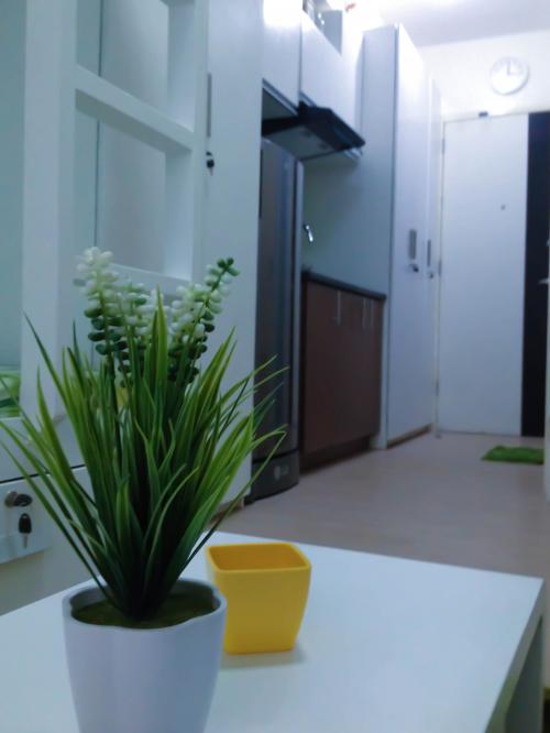 FOR RENT / LEASE: Apartment / Condo / Townhouse Manila Metropolitan Area > Pasay 3