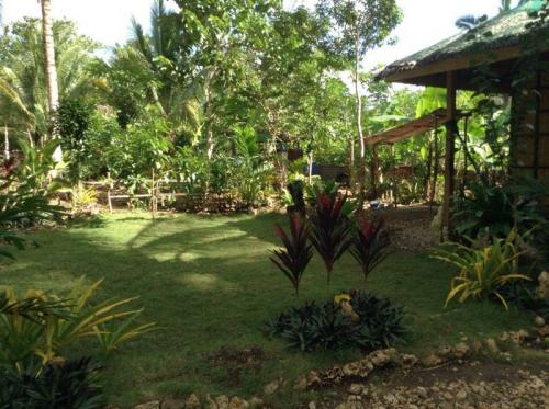 FOR SALE: Lot / Land / Farm Cebu 1