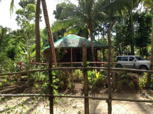 FOR SALE: Lot / Land / Farm Cebu 4