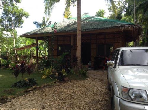 FOR SALE: Lot / Land / Farm Cebu 5