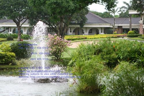 FOR SALE: Lot / Land / Farm Batangas > Lipa City 2