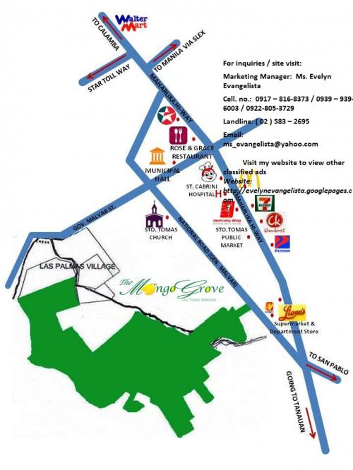 FOR SALE: Lot / Land / Farm Batangas > Other areas 3