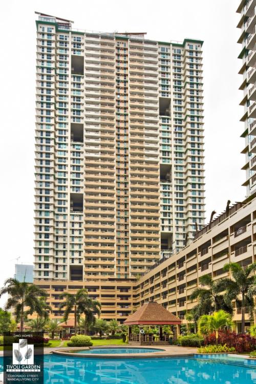 FOR SALE: Apartment / Condo / Townhouse Manila Metropolitan Area > Mandaluyong 3
