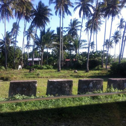 FOR SALE: Beach / Resort Quezon > Other areas 6