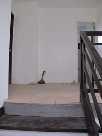 FOR SALE: House Manila Metropolitan Area > Quezon 3