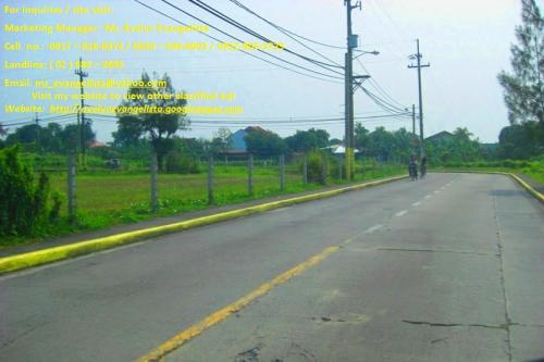 FOR SALE: Lot / Land / Farm Cavite 1
