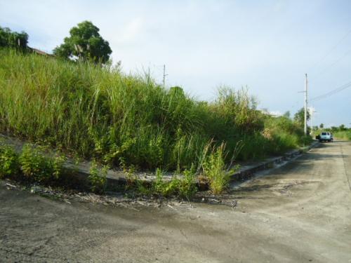 FOR SALE: Lot / Land / Farm Cebu > Other areas 10