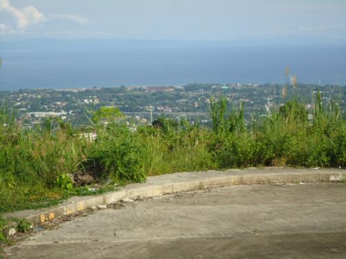 FOR SALE: Lot / Land / Farm Cebu > Other areas 5