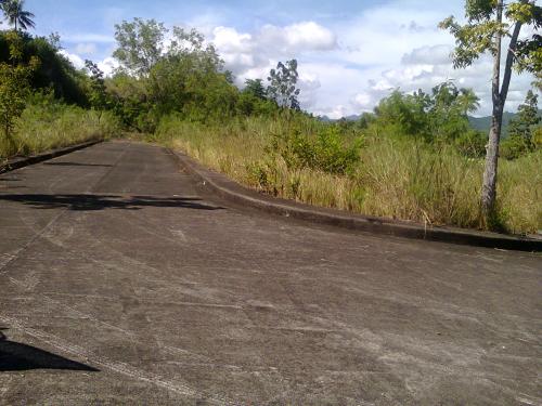 FOR SALE: Lot / Land / Farm Cebu > Other areas 6