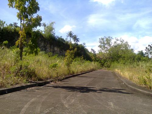 FOR SALE: Lot / Land / Farm Cebu > Other areas 8