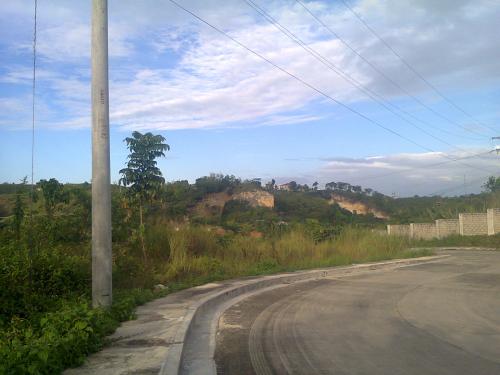 FOR SALE: Lot / Land / Farm Cebu > Mandaue 4