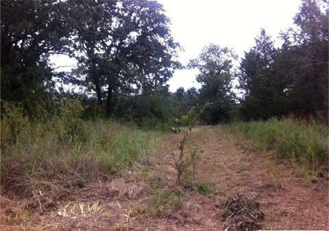FOR SALE: Lot / Land / Farm Cebu 1