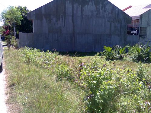 FOR SALE: Lot / Land / Farm Cebu