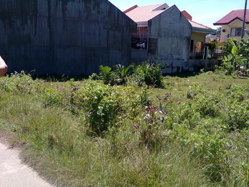 FOR SALE: Lot / Land / Farm Cebu 1