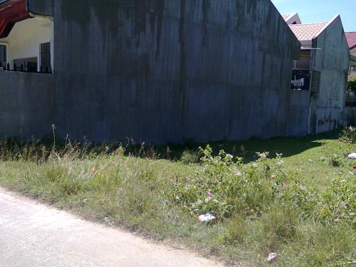 FOR SALE: Lot / Land / Farm Cebu 2