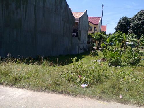 FOR SALE: Lot / Land / Farm Cebu 3