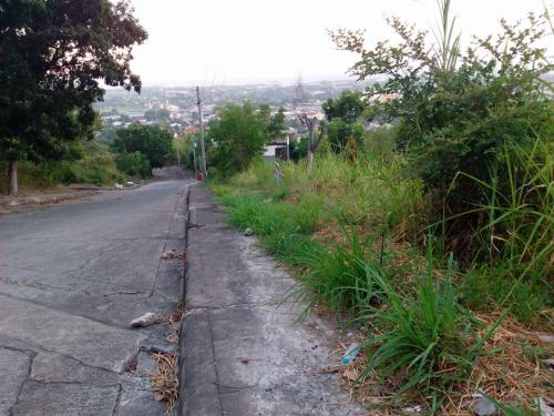 FOR SALE: Lot / Land / Farm Cebu > Other areas 1
