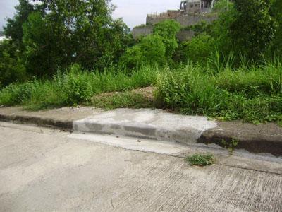 FOR SALE: Lot / Land / Farm Cebu > Other areas 2