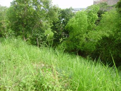 FOR SALE: Lot / Land / Farm Cebu > Other areas 3