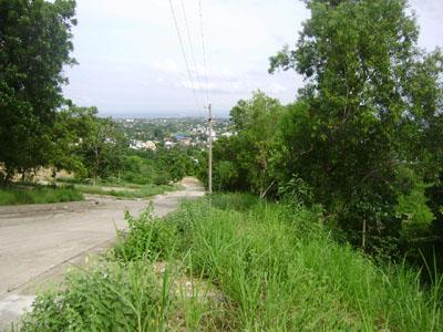 FOR SALE: Lot / Land / Farm Cebu > Other areas 4