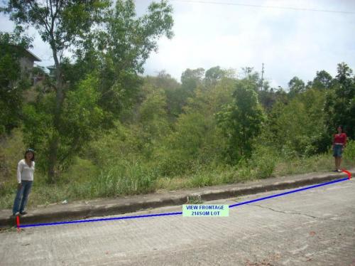 FOR SALE: Lot / Land / Farm Cebu > Other areas 5
