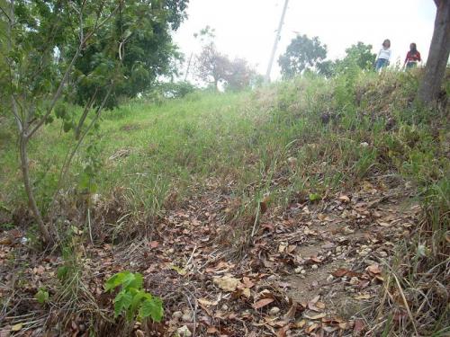 FOR SALE: Lot / Land / Farm Cebu > Other areas 6