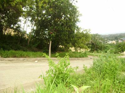 FOR SALE: Lot / Land / Farm Cebu > Other areas 7