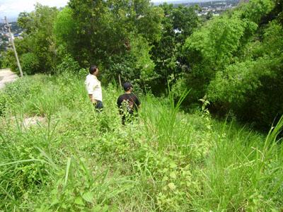 FOR SALE: Lot / Land / Farm Cebu > Other areas 8
