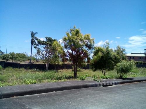 FOR SALE: Lot / Land / Farm Cebu 1