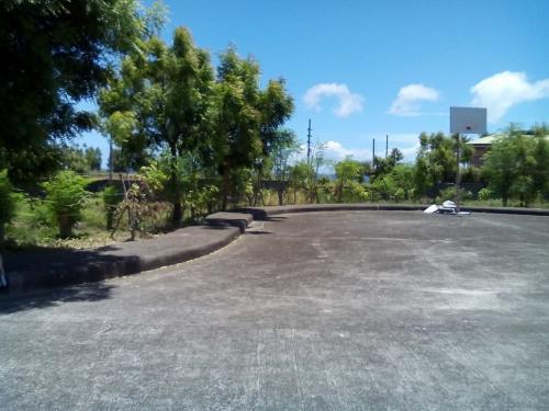 FOR SALE: Lot / Land / Farm Cebu 4