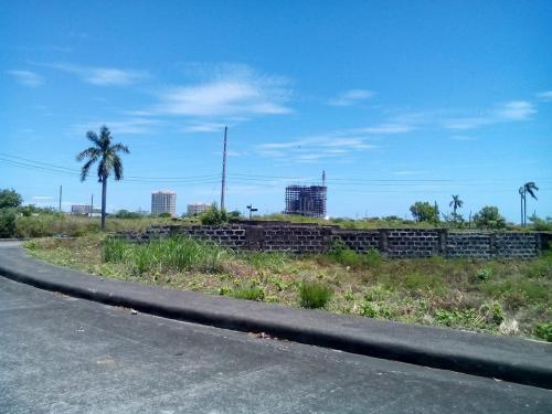 FOR SALE: Lot / Land / Farm Cebu 5
