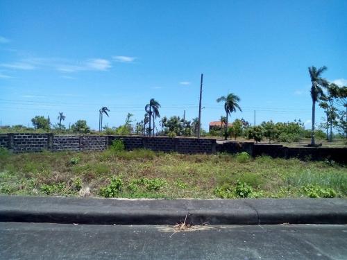 FOR SALE: Lot / Land / Farm Cebu 6