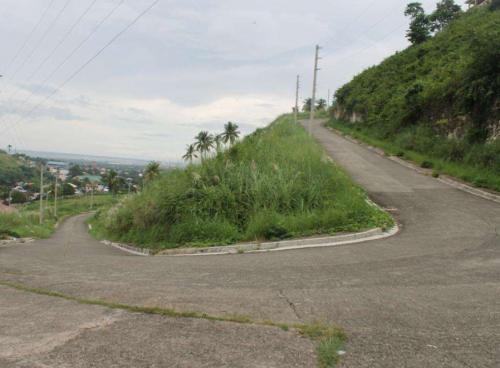 FOR SALE: Lot / Land / Farm Cebu 1