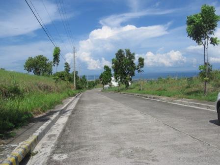 FOR SALE: Lot / Land / Farm Cebu 3