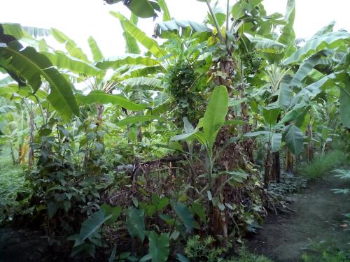 FOR SALE: Lot / Land / Farm Cebu > Other areas