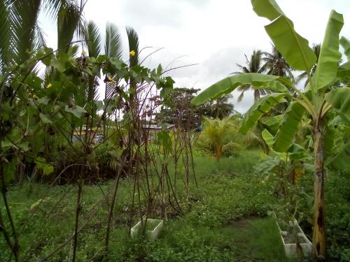 FOR SALE: Lot / Land / Farm Cebu > Other areas 2