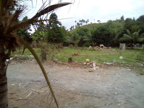 FOR SALE: Lot / Land / Farm Cebu > Other areas