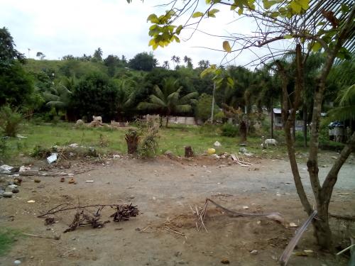 FOR SALE: Lot / Land / Farm Cebu > Other areas 1