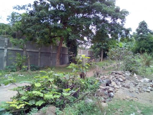 FOR SALE: Lot / Land / Farm Cebu > Other areas 3