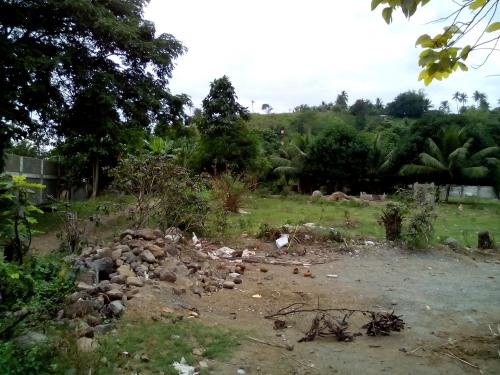 FOR SALE: Lot / Land / Farm Cebu > Other areas 4