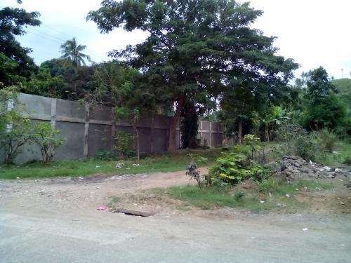 FOR SALE: Lot / Land / Farm Cebu > Other areas 5