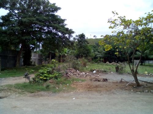 FOR SALE: Lot / Land / Farm Cebu > Other areas 6